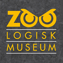 Girl looking out people on beach